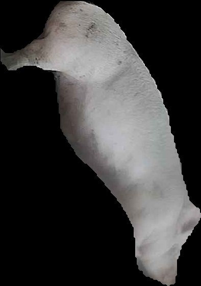Crop
