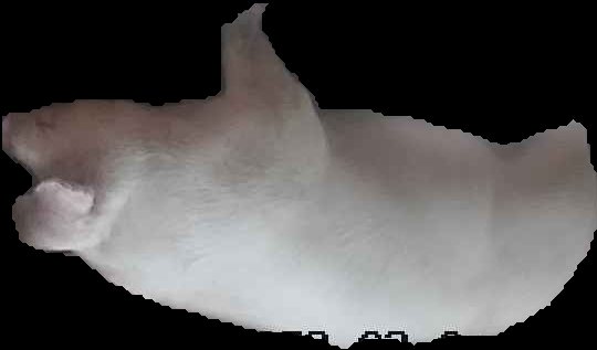 Crop
