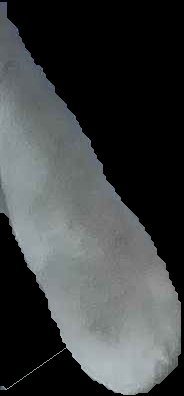 Crop