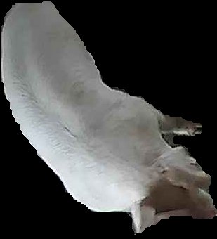 Crop