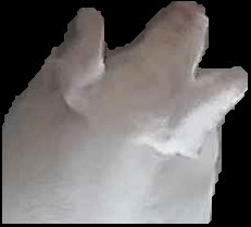 Crop
