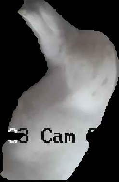 Crop