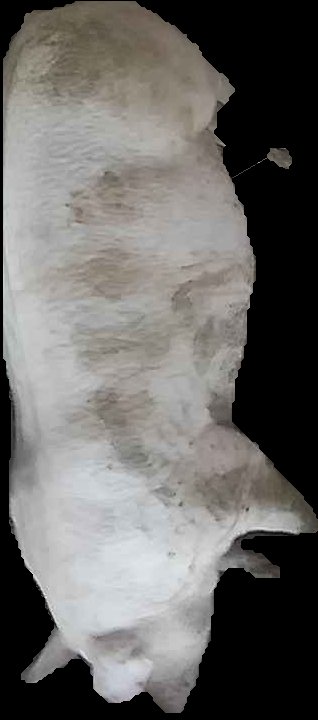 Crop