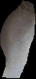 Crop