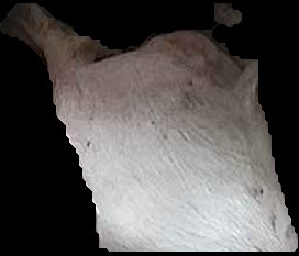 Crop