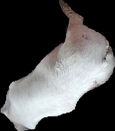 Crop