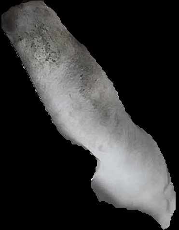 Crop