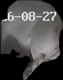 Crop
