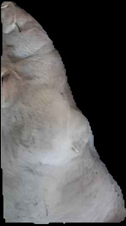 Crop