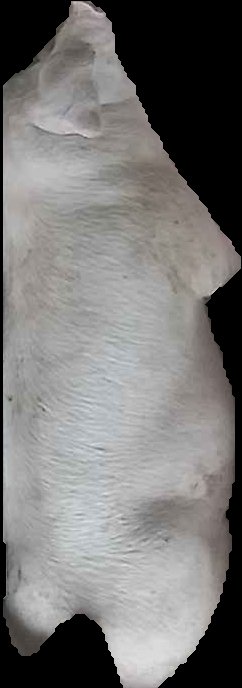 Crop