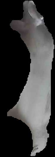 Crop