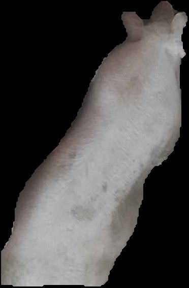 Crop