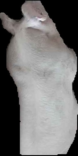 Crop