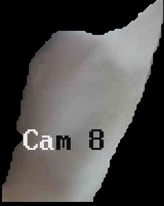 Crop