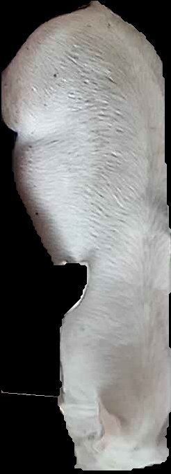 Crop