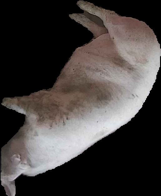 Crop