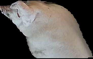 Crop