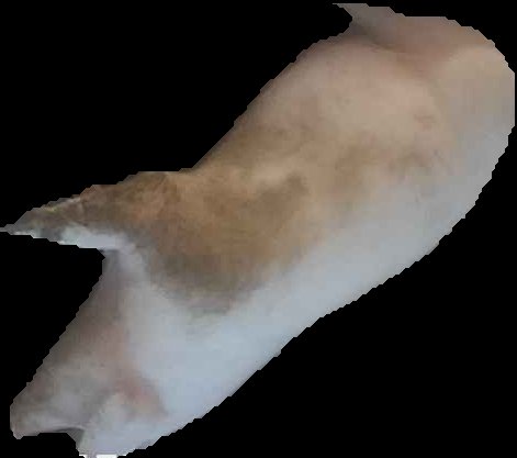 Crop
