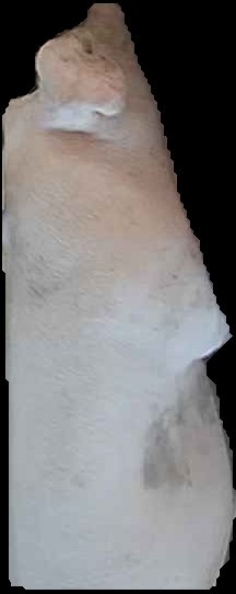 Crop