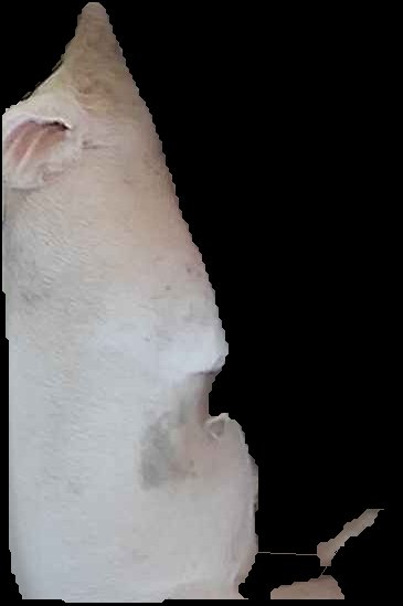 Crop