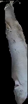 Crop