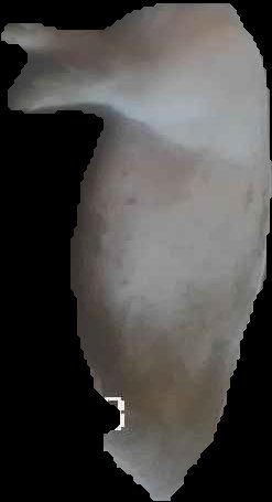 Crop