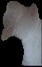 Crop