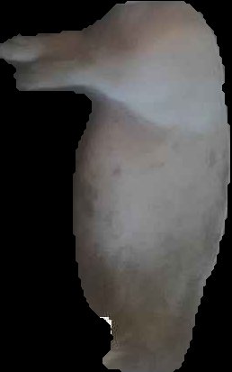 Crop