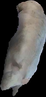 Crop