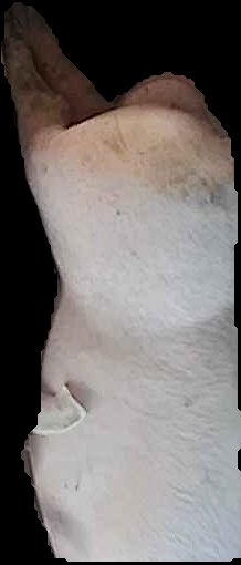 Crop