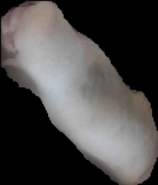Crop