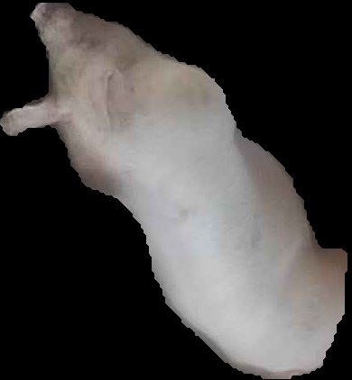 Crop