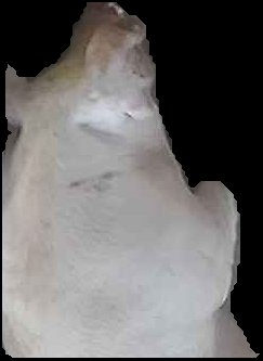 Crop