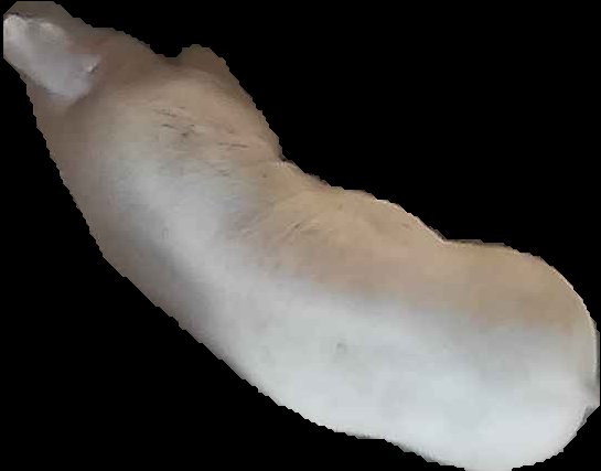 Crop