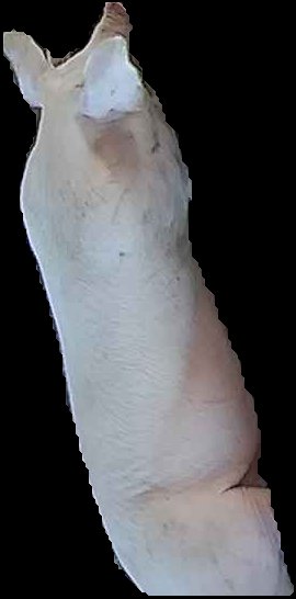 Crop