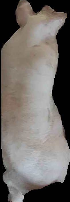 Crop