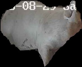 Crop