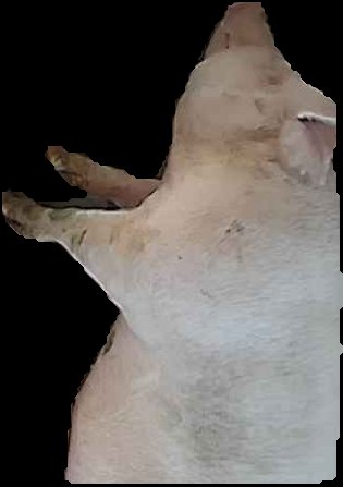 Crop