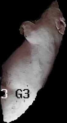 Crop
