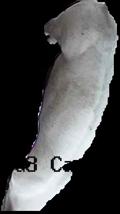 Crop