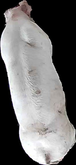 Crop
