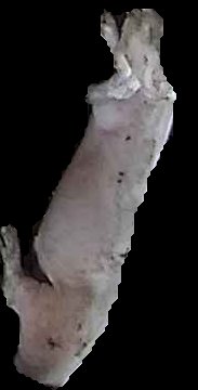 Crop