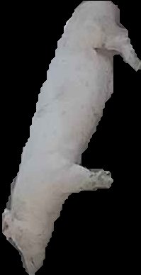 Crop