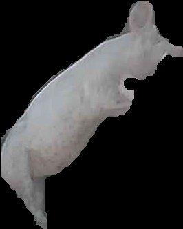 Crop