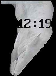 Crop