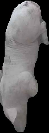 Crop