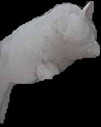 Crop