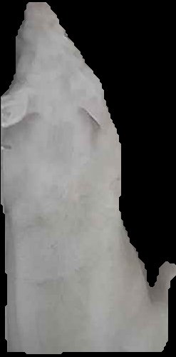 Crop