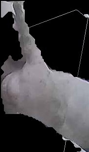 Crop