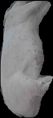 Crop